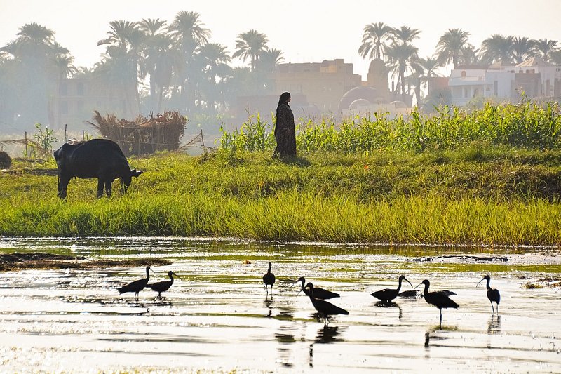 Nile River - Luxor, Egypt