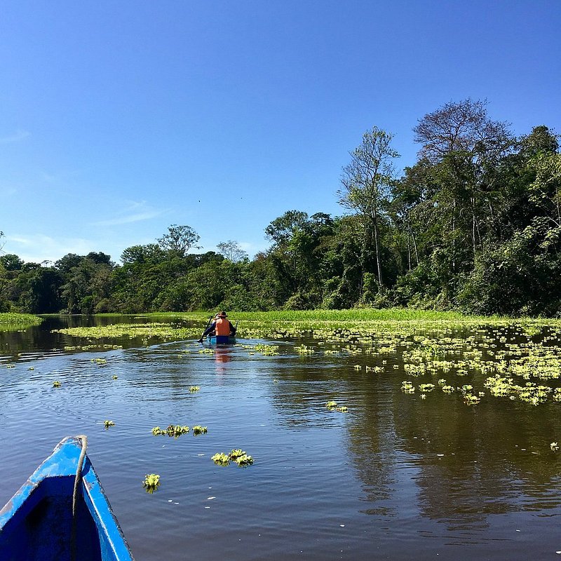 Amazon River