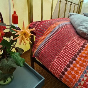 Rebel Farmer Tipi site is a glamping site in Kent. Our 21ft tipi sleeps 2 adults and 3 children. The additional bell tent can be included in your booking and sleeps 2 adults and 2 children as standaed. All comfy proper beds.  Breathtaking views of the North Downs. Listen to the wildlife, watch the bats, the birds and look out for our hedgehog friends. We also have 4 very friendly cats.  Dine in our poly tunnel kitchen surrounded by veg. Hot gas shower & compost loo. Bbq coals/campfire included.