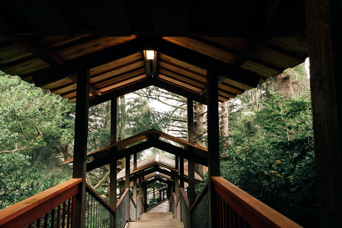 SALISHAN COASTAL LODGE BY SCP HOTELS: Bewertungen, Fotos ...