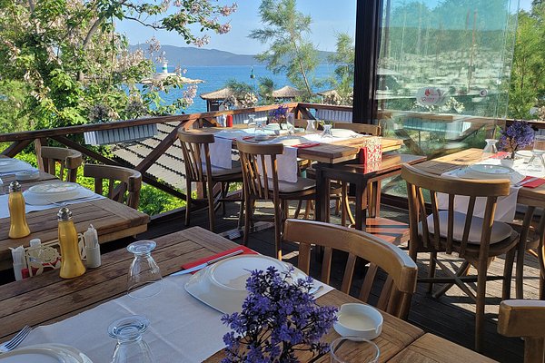 MINI COFFEE SHOP, Bodrum District - Duzalan Cad. No.8 Ortakent - Restaurant  Reviews & Photos - Tripadvisor