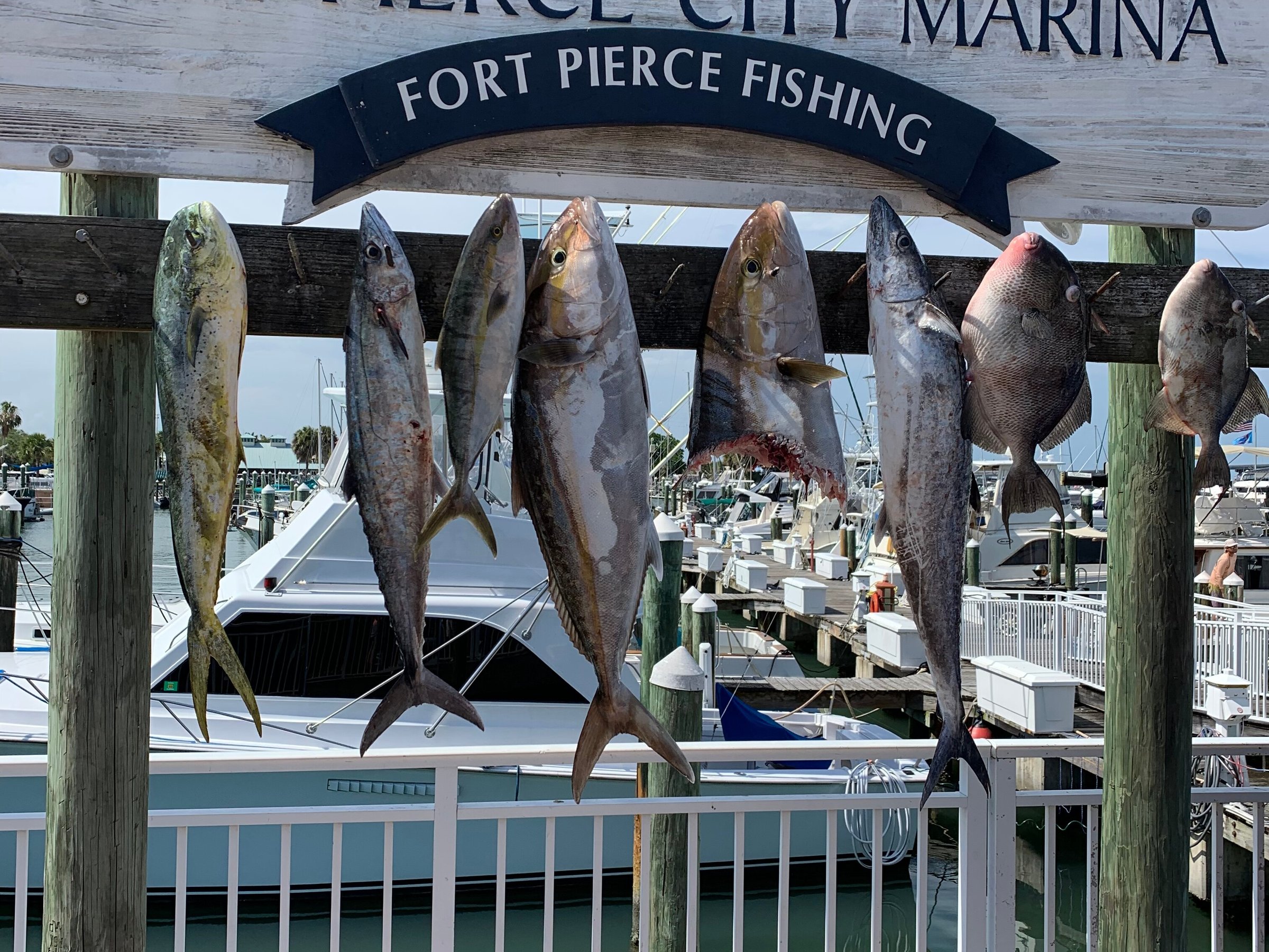 Last Mango Fishing Charters (Fort Pierce) All You Need to Know BEFORE