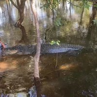 Top End Safari Camp Day Tour | Darwin, Australia