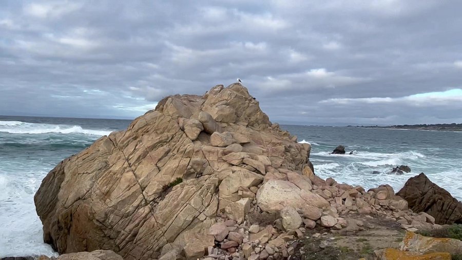 Point Joe