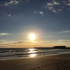 横浜ニコル