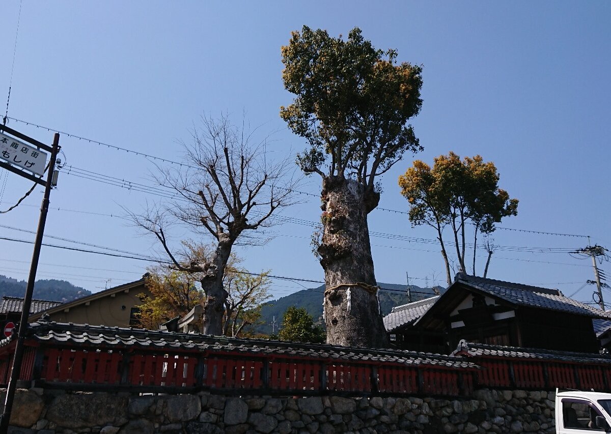 Hiyoshimita Shrine Otsu Alles Wat U Moet Weten Voordat Je Gaat Met Foto S Tripadvisor