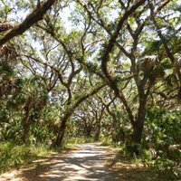 Rothenbach Park (Sarasota) - All You Need to Know BEFORE You Go