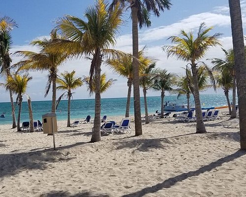 best excursions in freeport bahamas