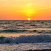 Captiva Beach (Captiva Island) - All You Need to Know BEFORE You Go