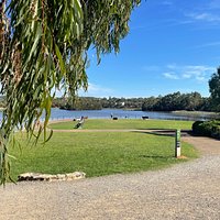 Lilydale Lake: All You Need to Know BEFORE You Go (with Photos)