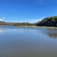 Lilydale Lake: All You Need to Know BEFORE You Go (with Photos)