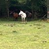 Georgieboy73