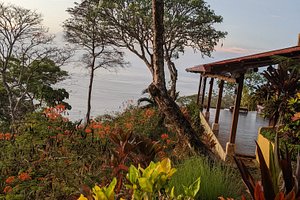 ANAMAYA RESORT & RETREAT CENTER - Prices & Hotel Reviews (Montezuma, Costa  Rica)