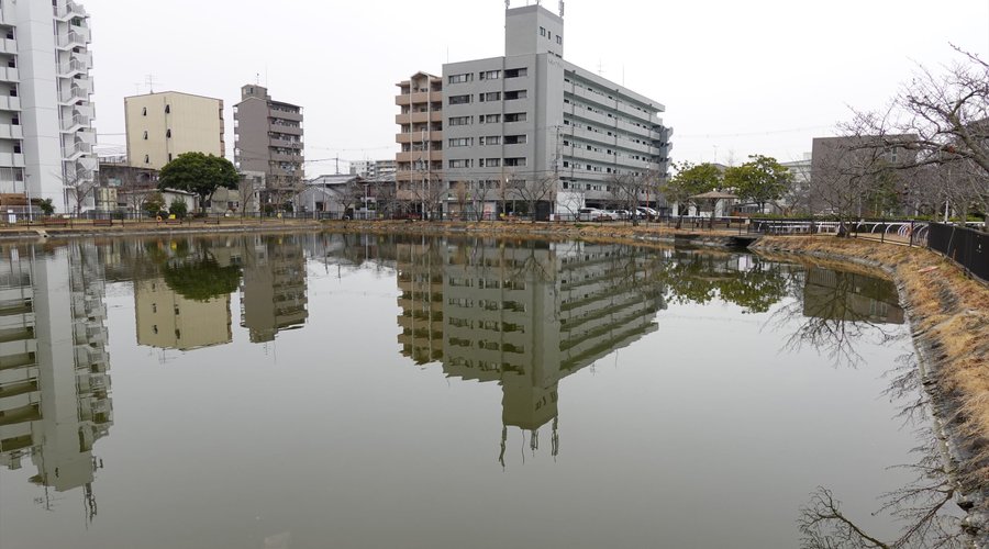 天理市・田井庄池公園