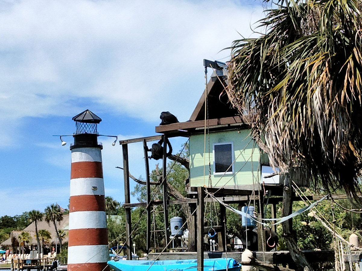 ISLAND GIRL CRUISES (Homosassa Springs) - All You Need to Know BEFORE ...