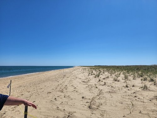 Martha's Vineyard review images