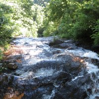 Amicalola Falls State Park (Dawsonville) - All You Need to Know BEFORE ...