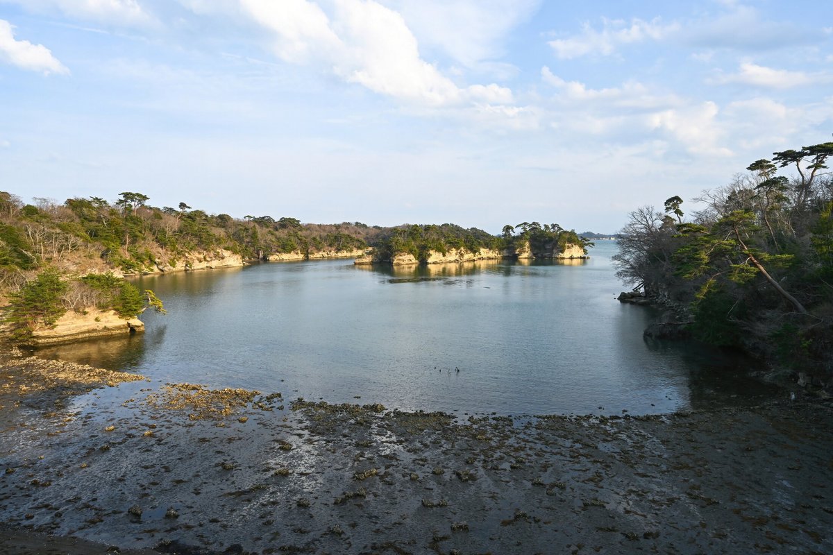 MATSUSHIMA SAKAN SHOUAN - Prices & Ryokan Reviews (Matsushima-machi, Japan)