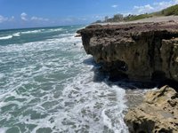 are dogs allowed at blowing rocks preserve