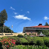 Korbel Champagne Cellars (Guerneville) - All You Need to Know BEFORE You Go