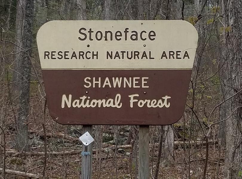 Stoneface Research Natural Area image