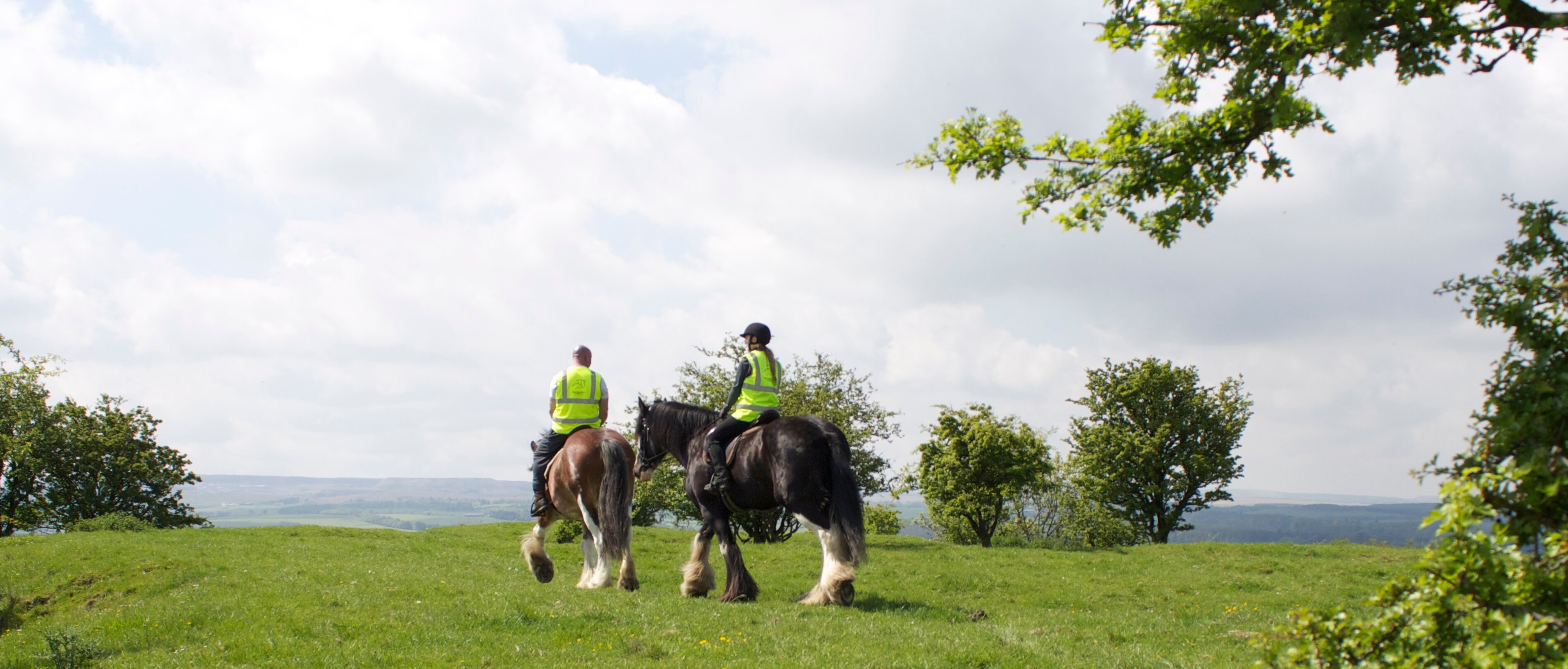 Blackstone Clydesdales & DIG-a-Day Experience - All You Need to