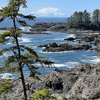 Wild Pacific Trail (Ucluelet) - All You Need to Know BEFORE You Go