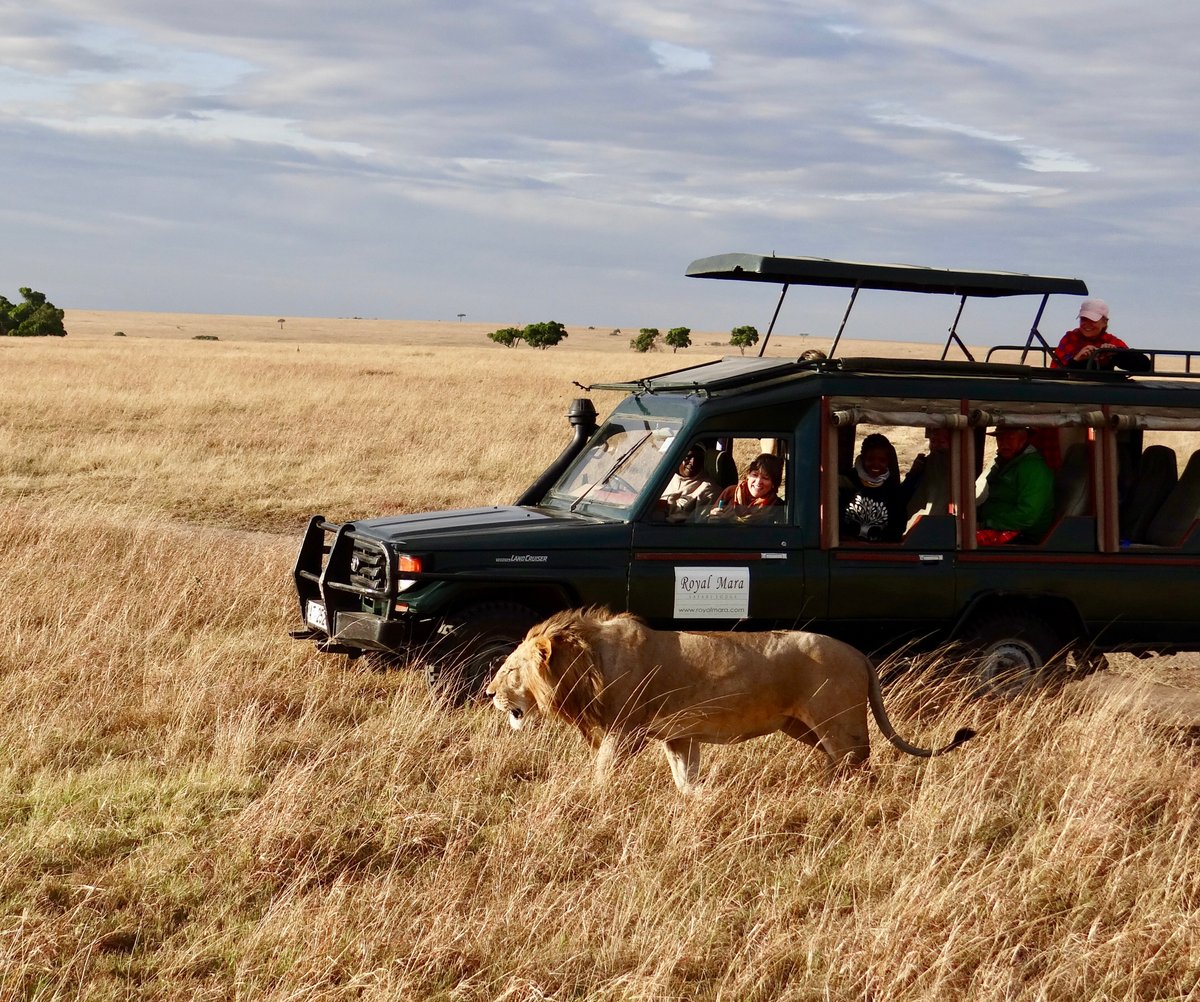 ROYAL MARA SAFARI LODGE (Kenya/Maasai Mara National Reserve) - Lodge ...