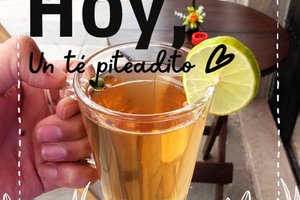 Viajero