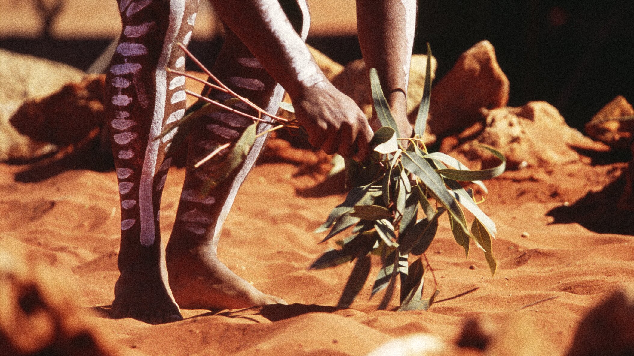 Top 10 Northern Territory Indigenous Tours & Experiences In Australia ...