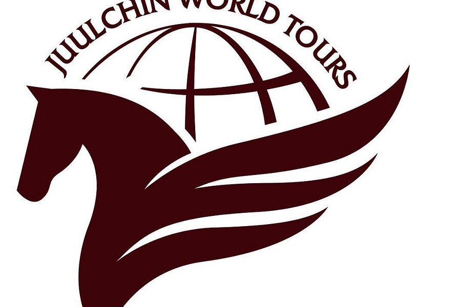 juulchin world tours
