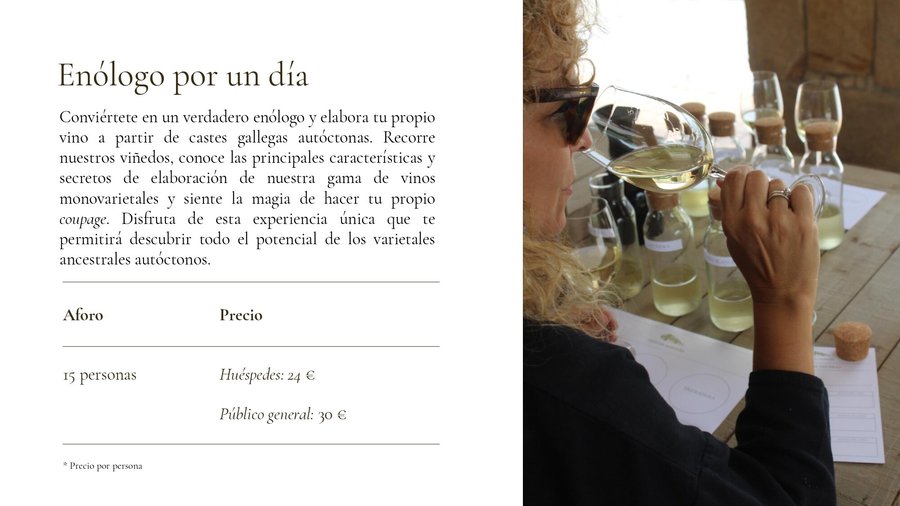 Enoturismo: Enólogo por un día 