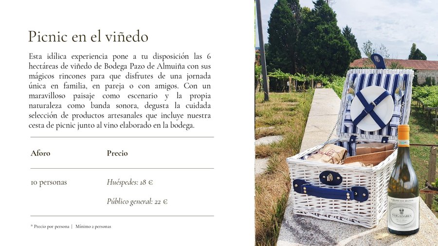 Enoturismo: Picnic en el viñedo