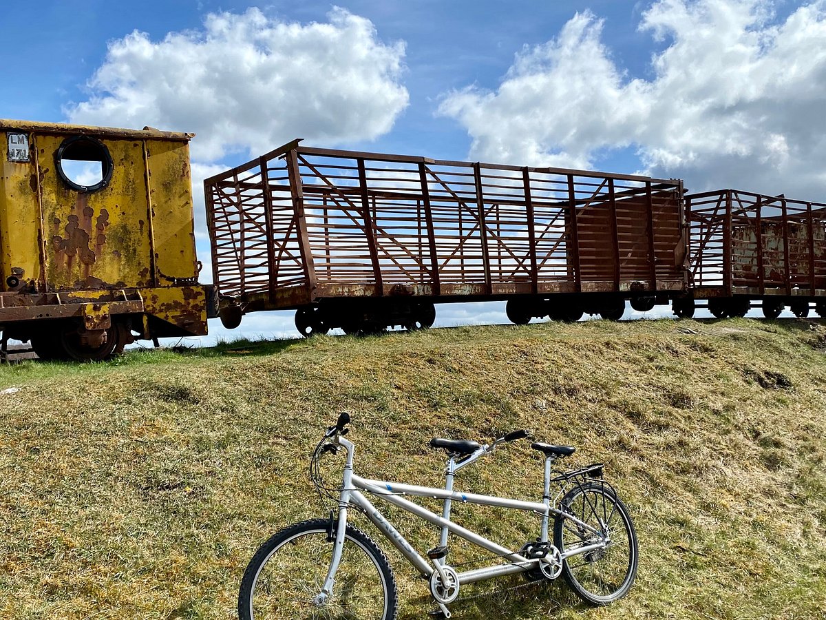 lough boora bike hire