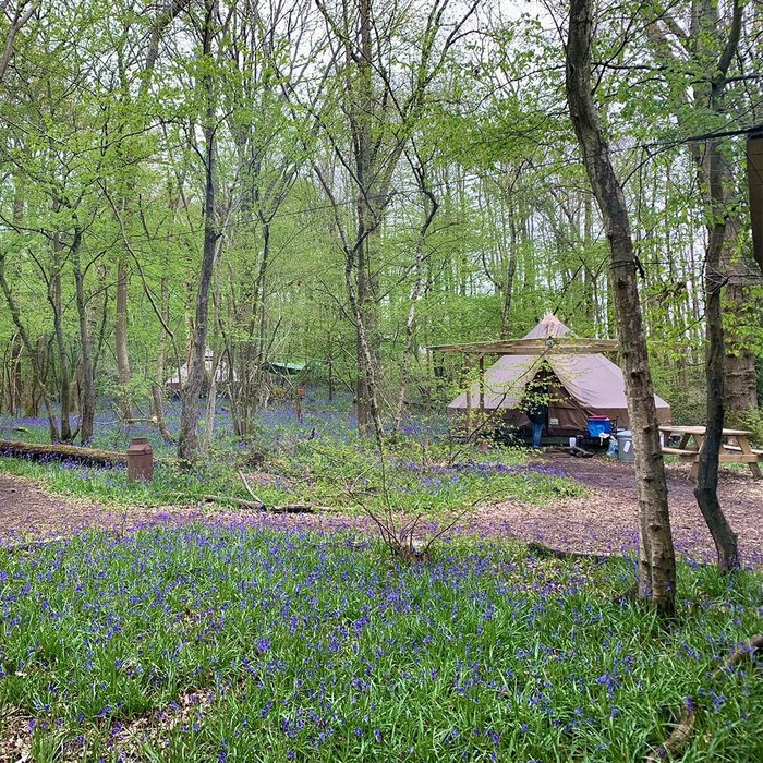 wild-boar-wood-campsite-bewertungen-fotos-preisvergleich-horsted