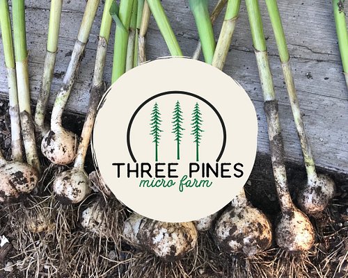 Three pines