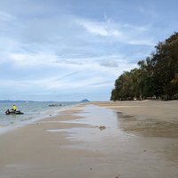 Phuket Seahorse Tours (Karon) - All You Need to Know BEFORE You Go