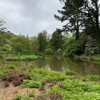 MARWOOD HILL GARDENS - All You Need to Know BEFORE You Go