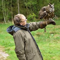 Strathblane Falconry - All You Need to Know BEFORE You Go