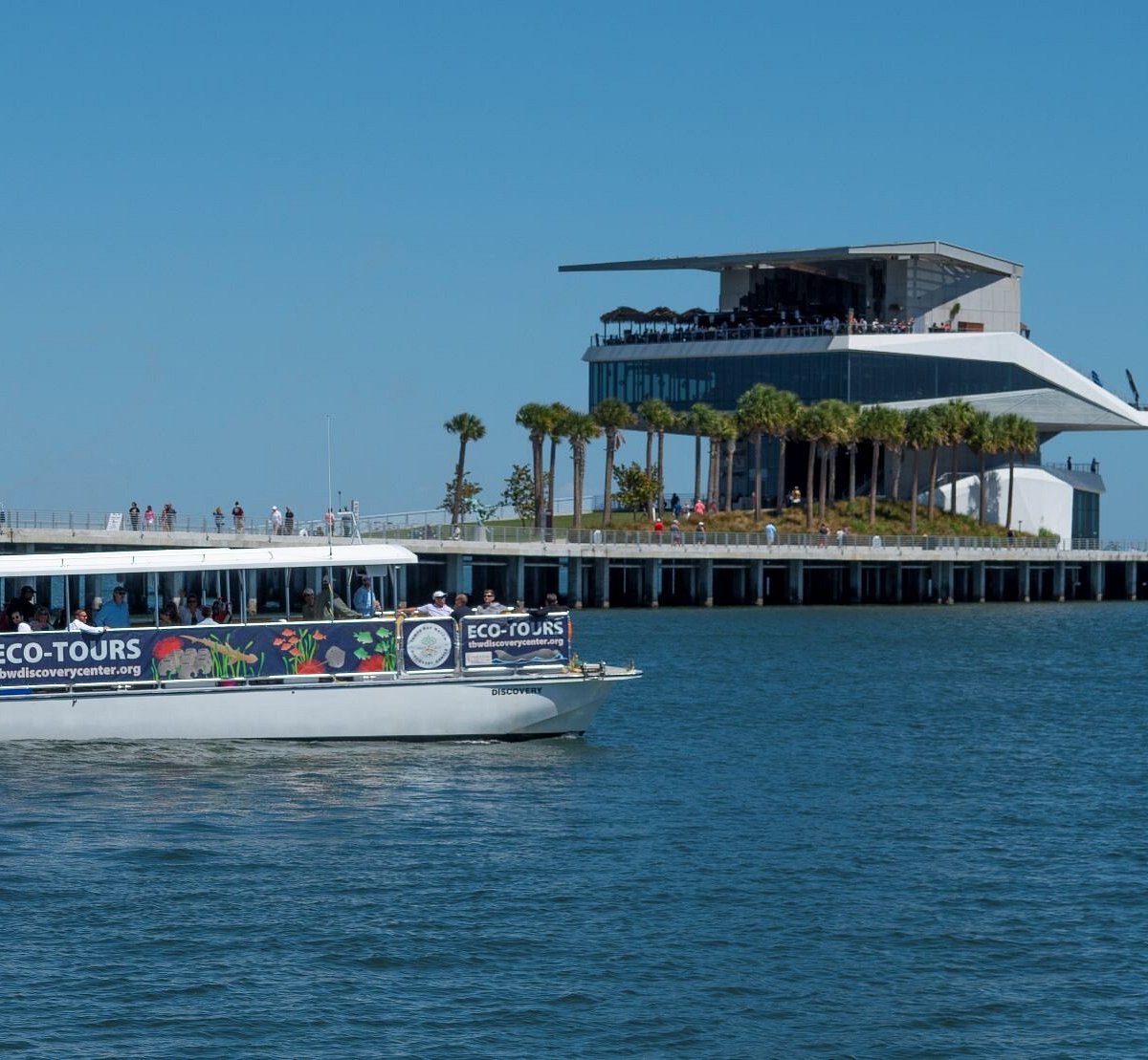 Tampa Bay Watch Discovery Center Ecotours (St. Petersburg) All You