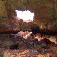 Forrest Caves (Newhaven): All You Need to Know BEFORE You Go