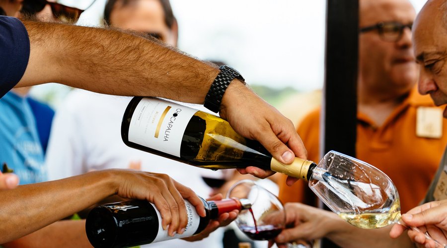 Wine Tasting - Quinta de Chocapalha 
Quinta de Chocapalha Reserva White