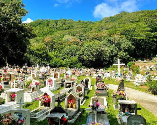 Wildlife Watching in Vienna Cemeteries