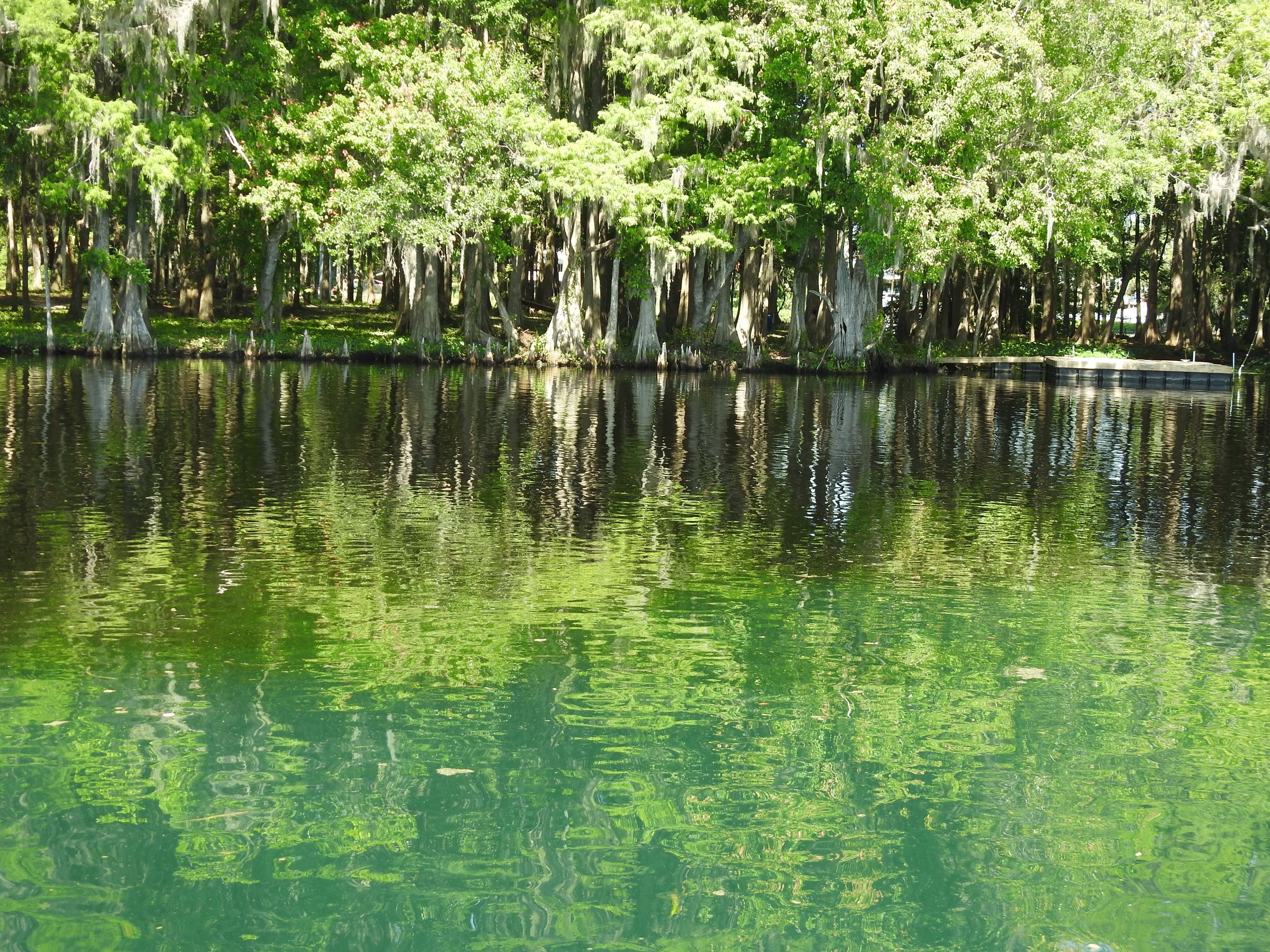 Singing River Tours (Dunnellon) - All You Need to Know BEFORE You Go