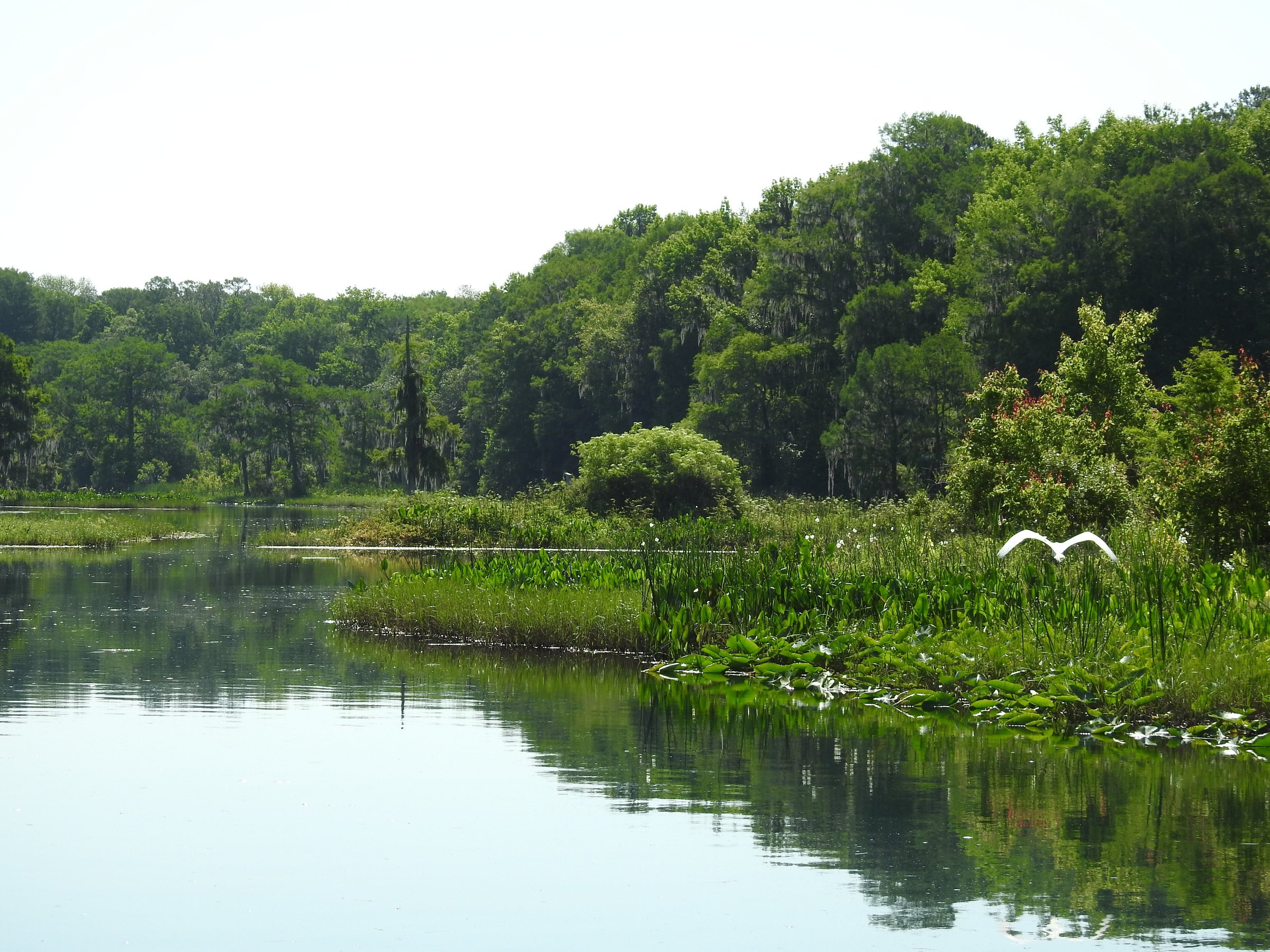 Singing River Tours (Dunnellon) - All You Need to Know BEFORE You Go