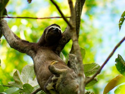 Padre Cocha Turismo - Información turística sobre Padre Cocha, Perú -  Tripadvisor