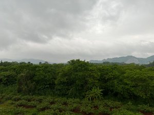 旅客