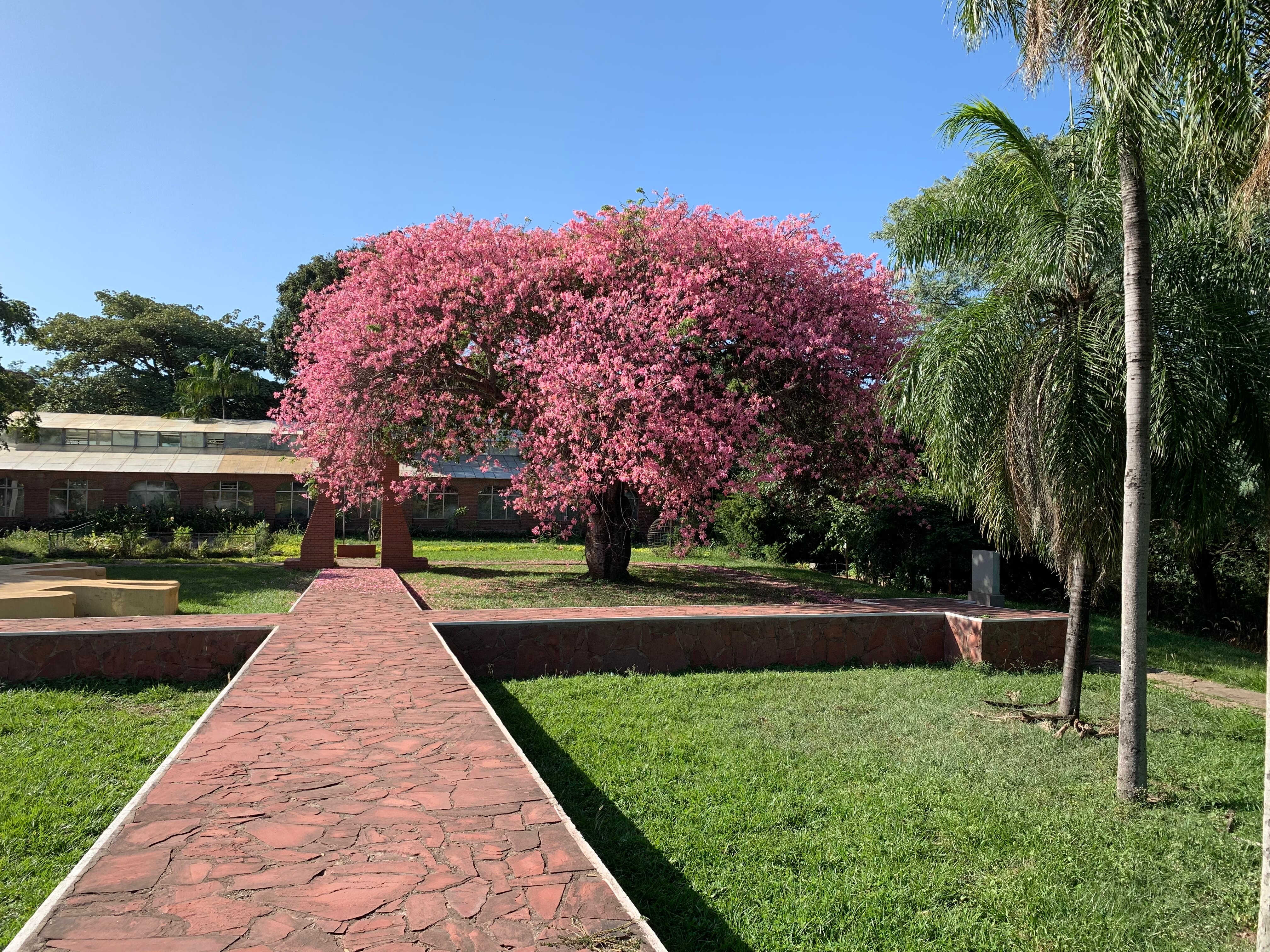 Jardin Botanico Santa Cruz Qu SABER antes de ir ACTUALIZADO