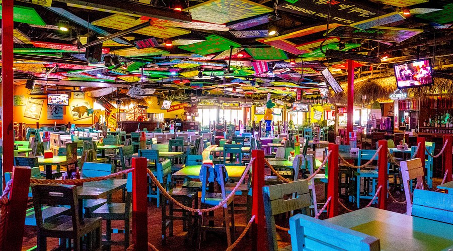 Senor Frog's Orlando
