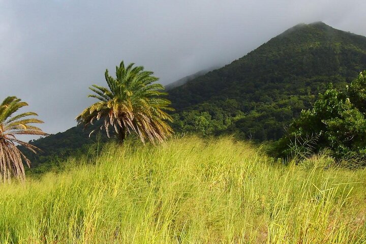 2024 St Kitts St Kitts Island Daytrip Tripadvisor   Caption 